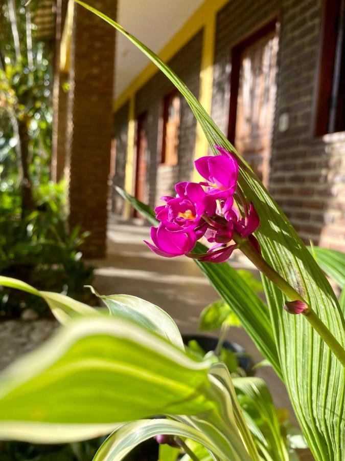 Pousada Aruana Porto Seguro Ngoại thất bức ảnh